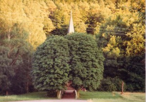 Versteckt sich hinter Bäumen: Die Liebfrauenkapelle mit Quelle.